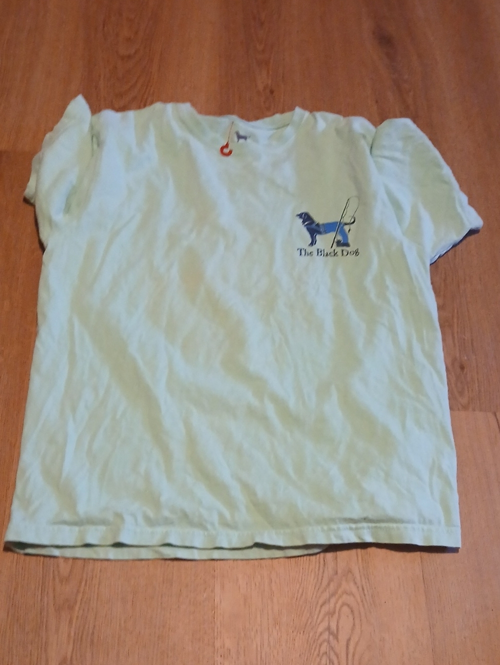 The Black Dog  Short Sleeve Tee - Mint Green with Navy Seascape Logo